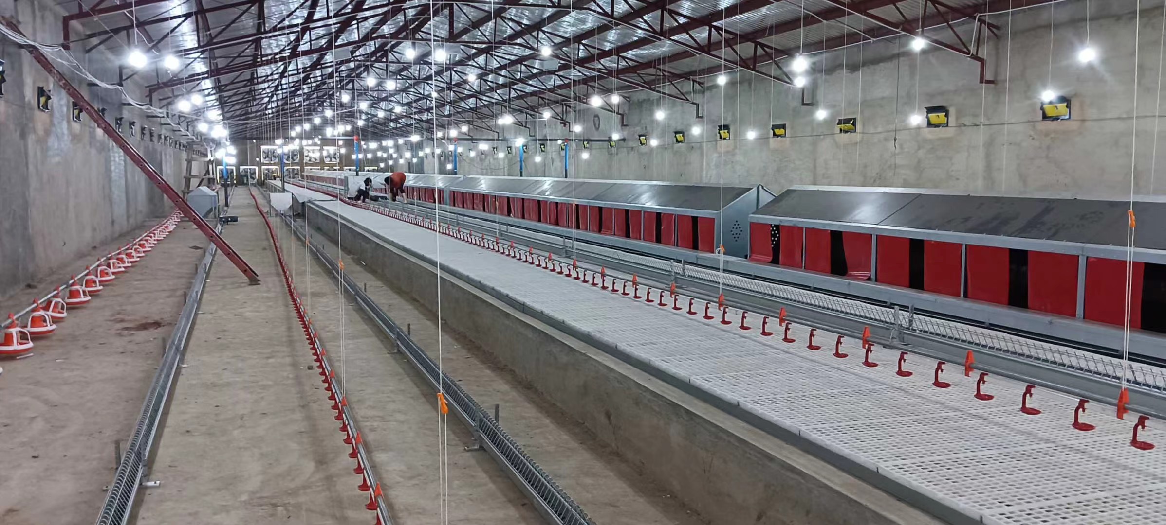 Breeder raising system